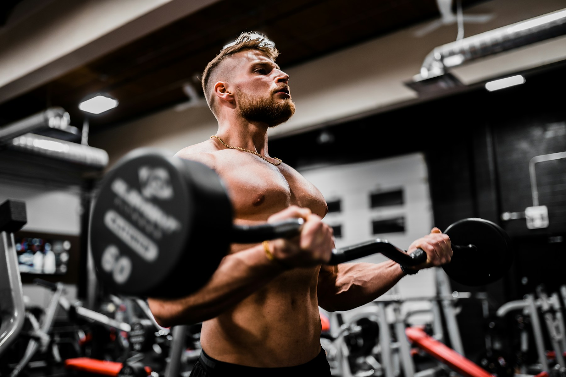 FORGE Fitness & Fuel concept equipment image